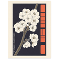 Sakura Choubo