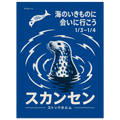 Seal poster – vector seal emerging from blue rippling water