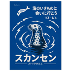 Seal poster – vector seal emerging from blue rippling water