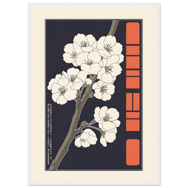 Sakura Choubo